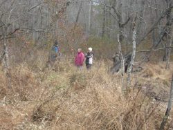 Beaver Meadow of the Pomonkey Forest easement