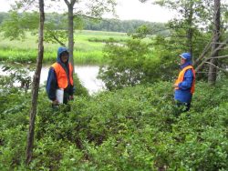 Monitoring an easement on Nanjemoy Creek