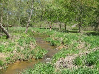 Conservancy-protected land on Popes Creek