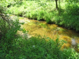 Conservancy-protected land on Gilbert Run